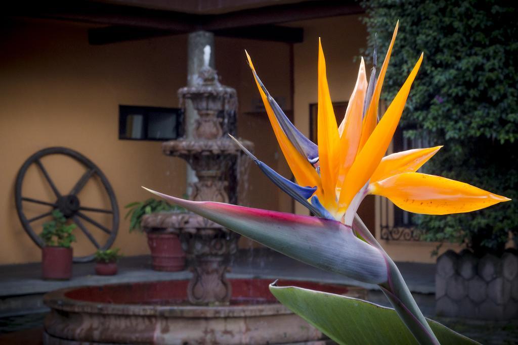 Hotel El Pueblito De Fortin Fortin de las Flores Екстер'єр фото