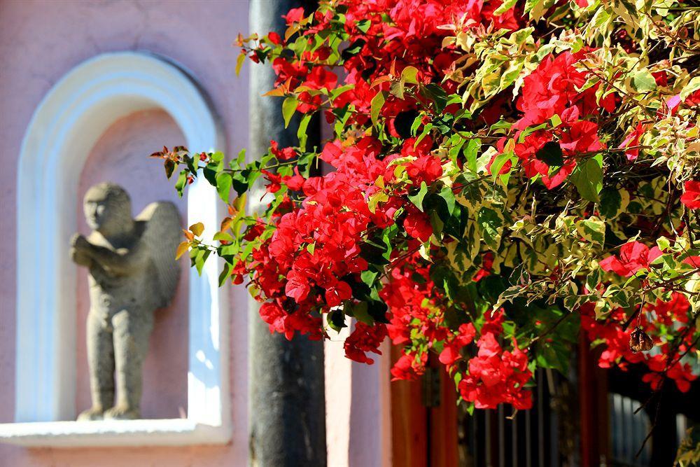 Hotel El Pueblito De Fortin Fortin de las Flores Екстер'єр фото